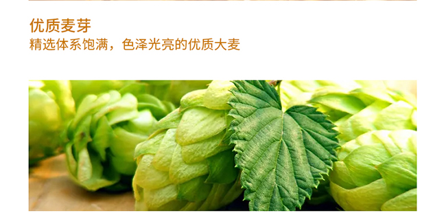 中 國(guó)龍精釀原漿禮盒裝1L×6桶