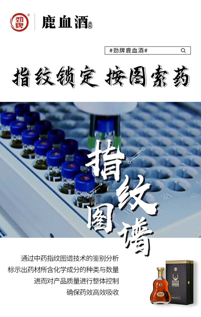 勁牌鹿血酒【38度 520ml】