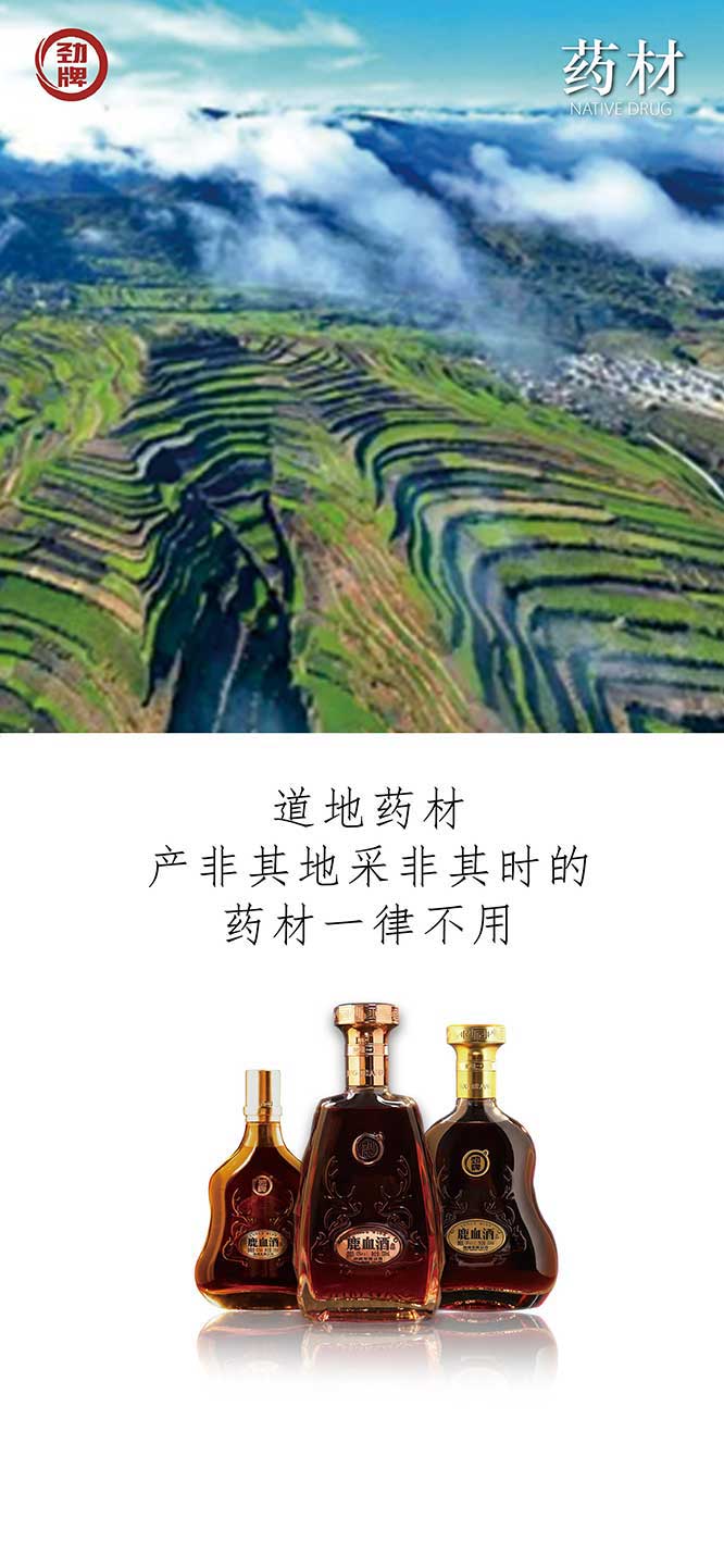 勁牌鹿血酒【38度 520ml】