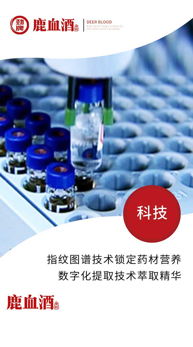 勁牌鹿血酒【38度 520ml】