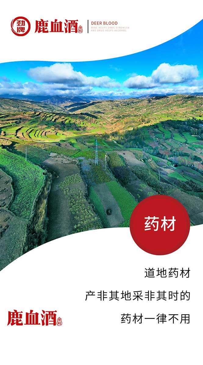 勁牌鹿血酒【38度 520ml】