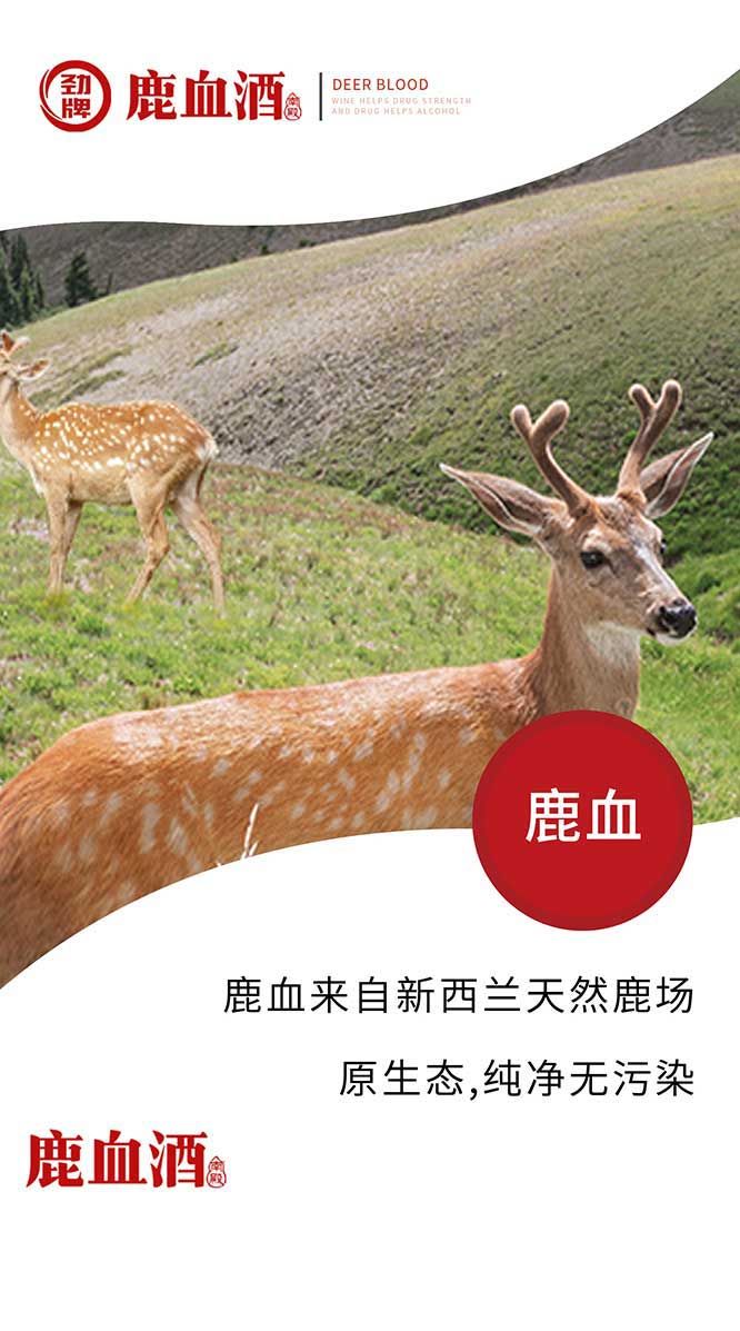 勁牌鹿血酒【38度 520ml】