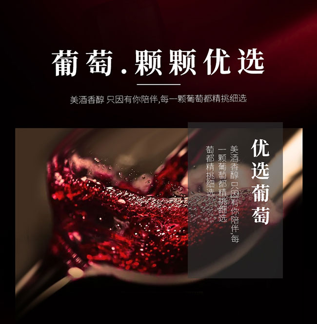 圣尼威樽法國進口干紅葡萄酒