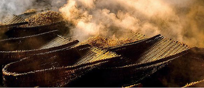 雙溝雙柔酒金典