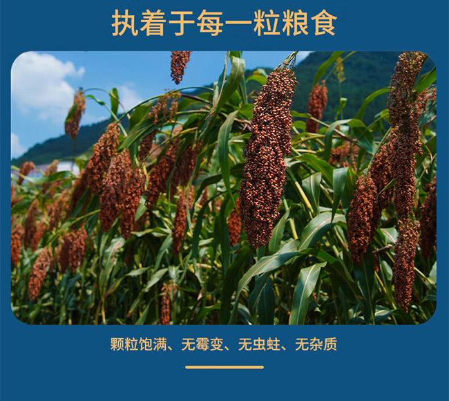 ه(li)Ҿ\  u͡53500ml