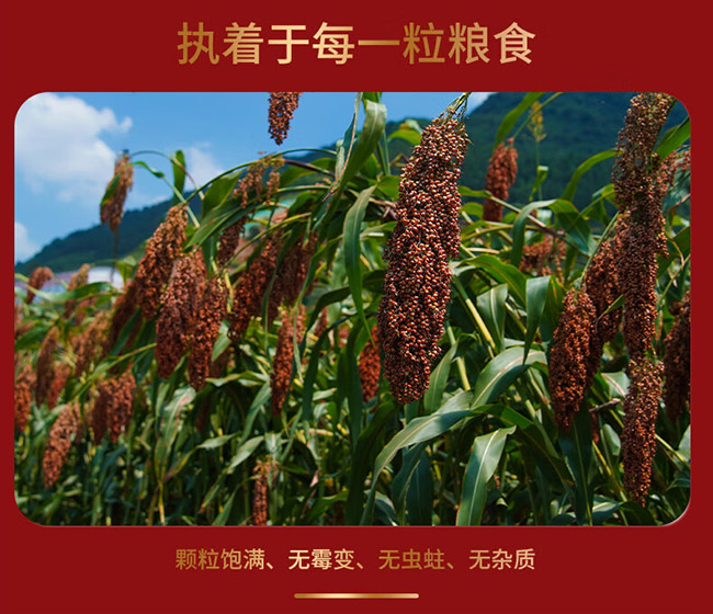 賴世家酒天釀 醬香型【53°500ml】