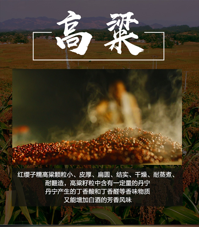 吉天下酒尊享版 醬香型白酒【53° 500ml】