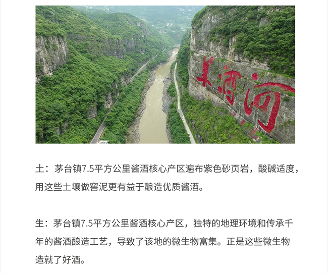 和義燒坊酒君雅 醬香型白酒【53° 500ml】