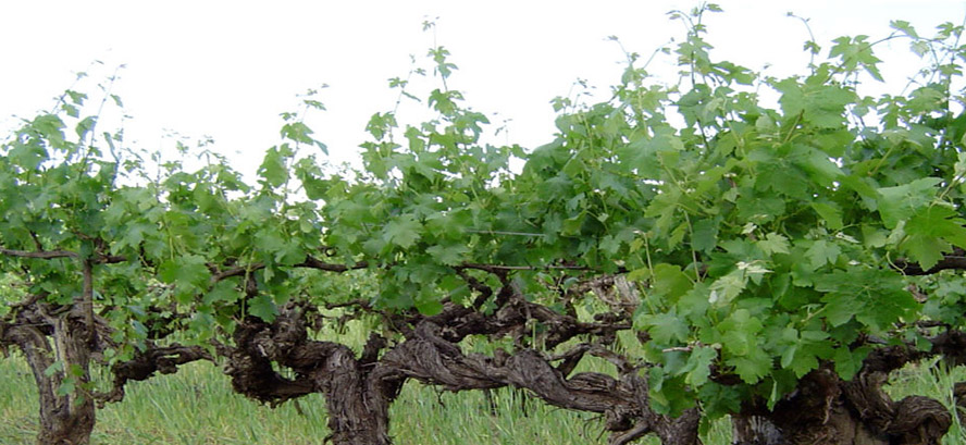     ϺHQ(mo)޹˾a(chn)ƷС