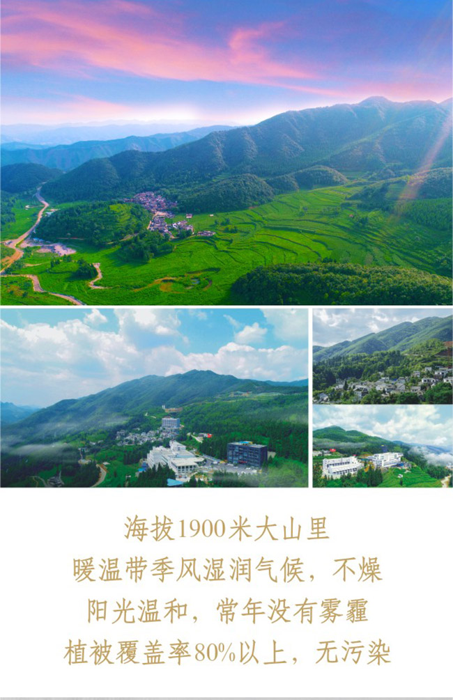 С¾r uͰ׾ơ53 500ml