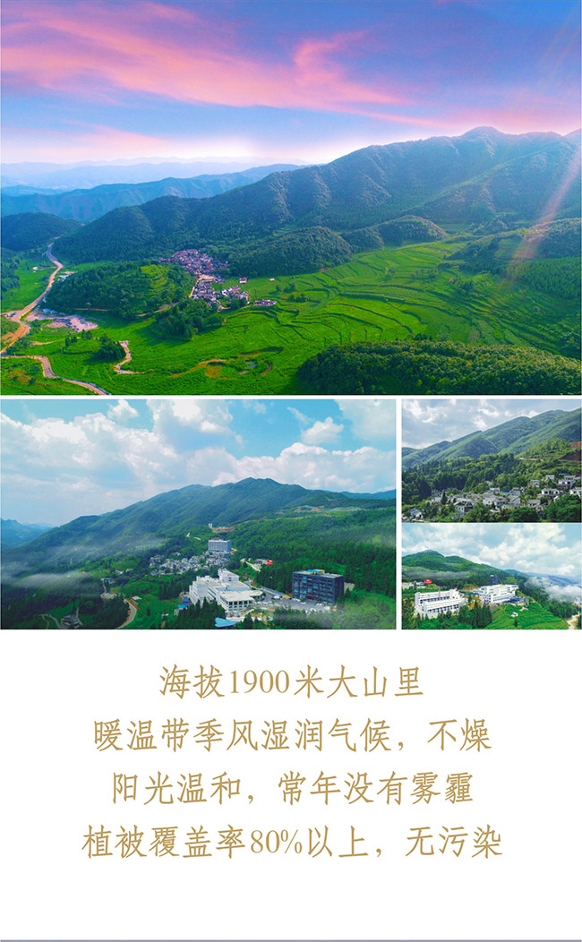 人民小酒理想之光 清醬香型白酒【53° 500ml】