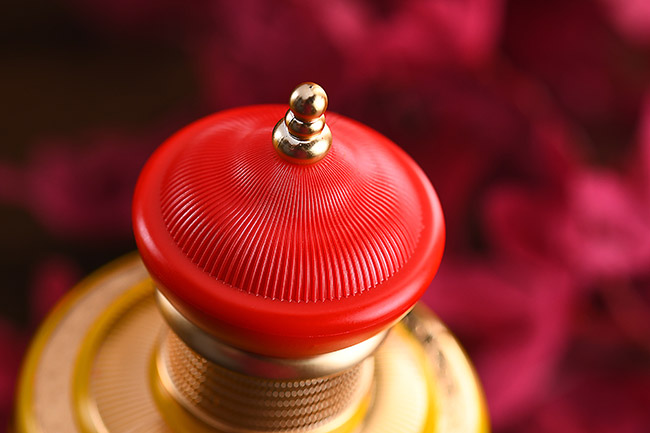 Ʒ_(ti)_T{ uͰ׾ơ53 500ml