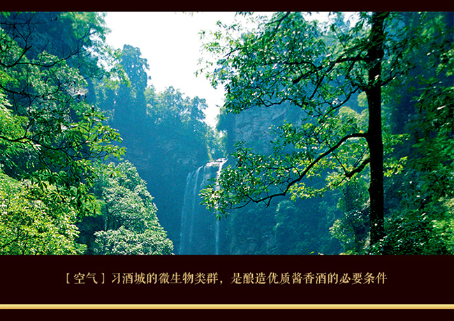 FԴbp uͰ׾ơ53 500ml