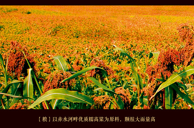 FԴbp uͰ׾ơ53 500ml