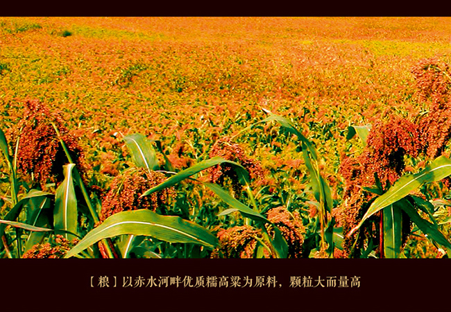 (x)FԴղؼ uͰ׾ơ53 500ml