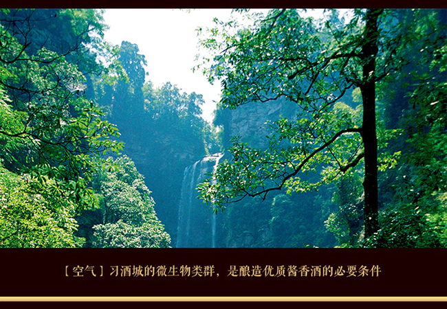 (x)FԴղؼ uͰ׾ơ53 500ml