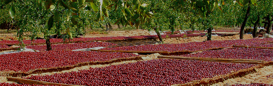 ɽ|R(gu)ʢƘI(y)޹˾