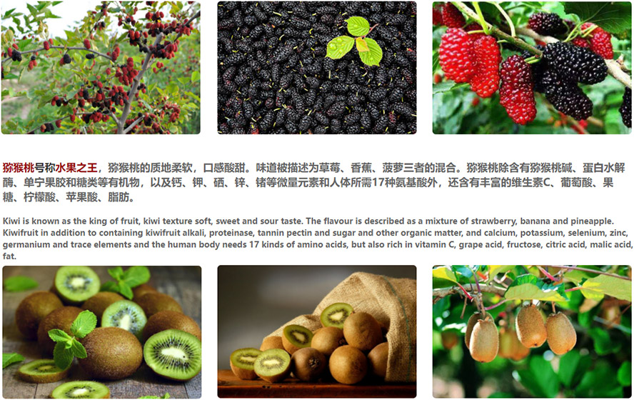     t(sh)I(y)޹˾a(chn)ƷС