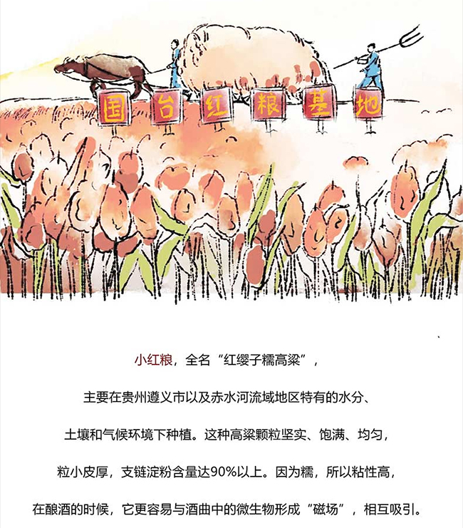 (gu)_(ti)u uͰ׾ơ53 500ml