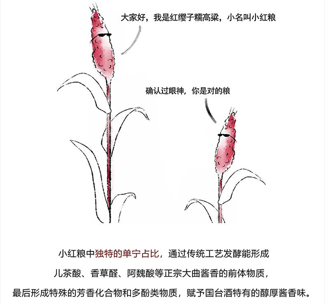 (gu)_(ti)u uͰ׾ơ53 500ml