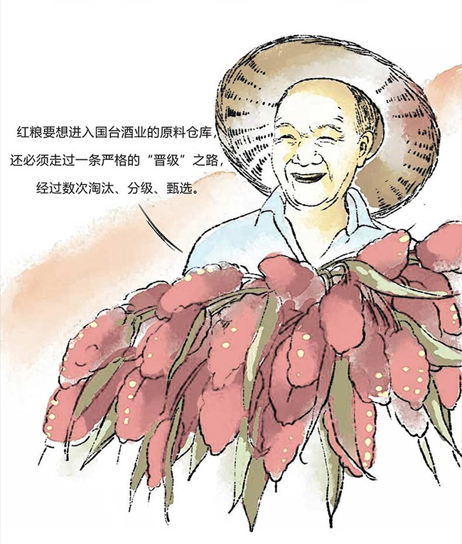 (gu)_(ti)u uͰ׾ơ53 500ml