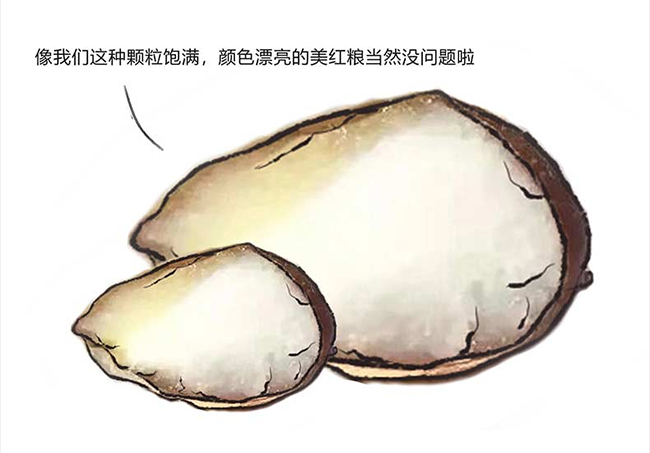 (gu)_(ti)u uͰ׾ơ53 500ml