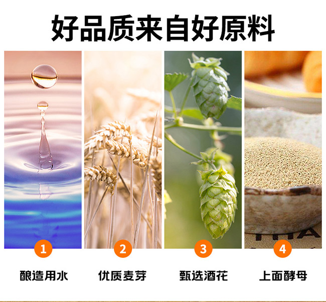 埃丁格桶裝原漿精釀啤酒【13° 2L】