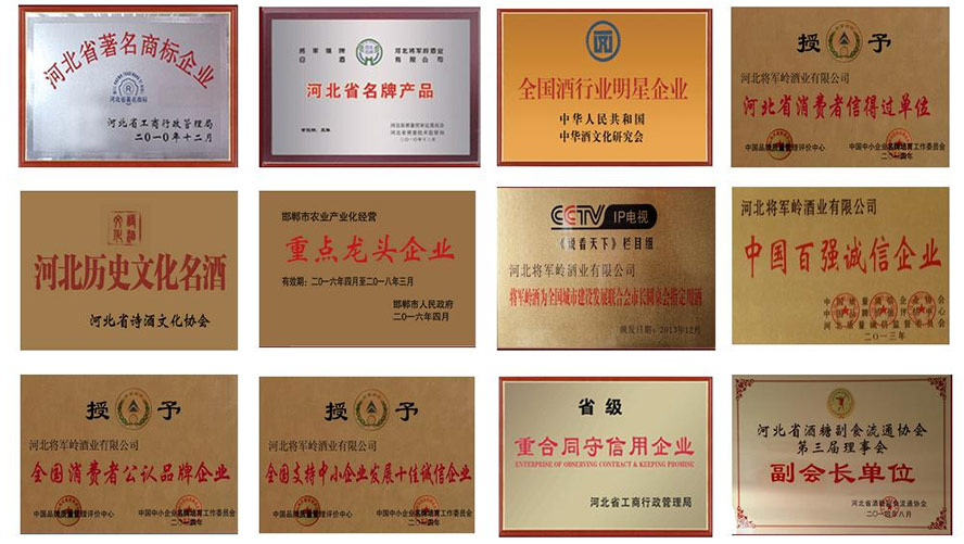 河北將軍嶺酒業(yè)有限公司