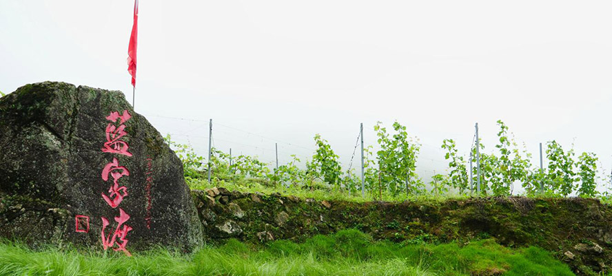     Ϻ{(ln)ҶѾƘI(y)޹˾a(chn)Ʒ