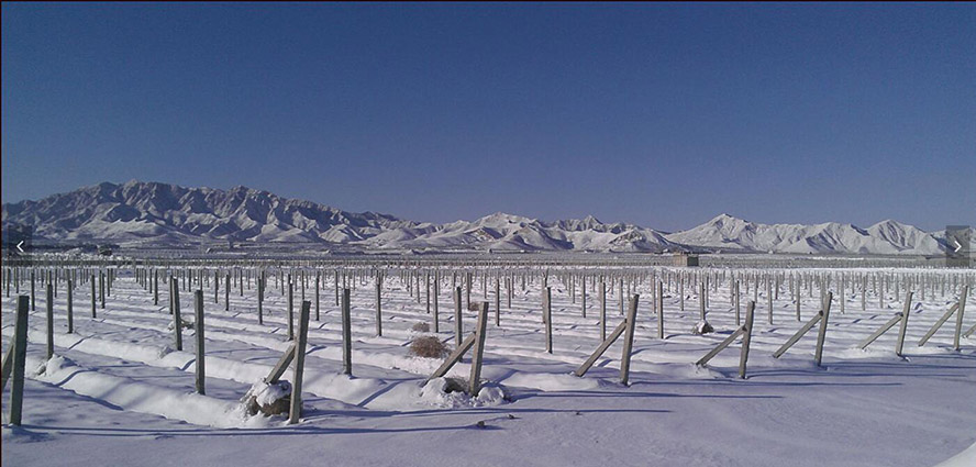     с(li)Ͼf@Ѿ޹˾a(chn)Ʒ