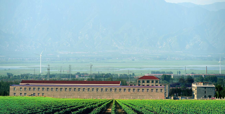     с(li)Ͼf@Ѿ޹˾a(chn)ƷС