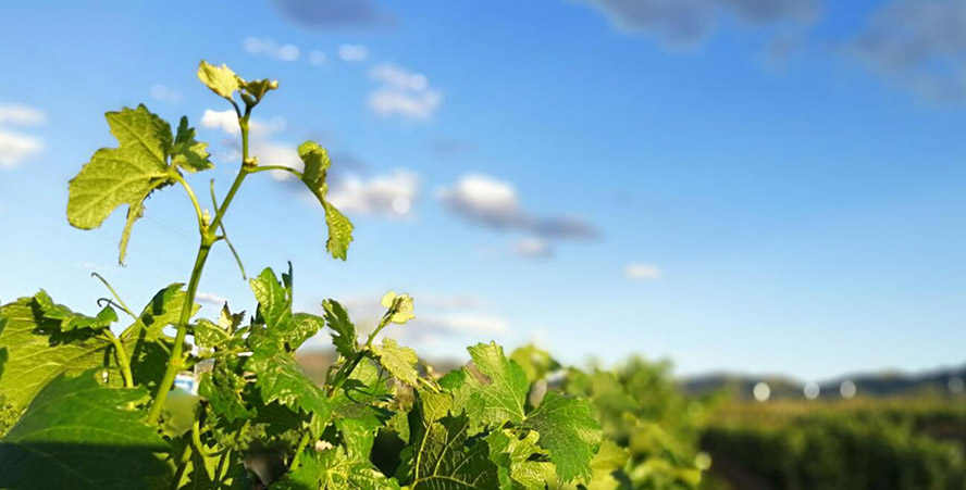     с(li)Ͼf@Ѿ޹˾a(chn)ƷС