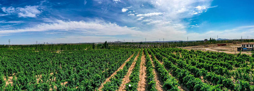     ~{оSݾf޹˾a(chn)Ʒ