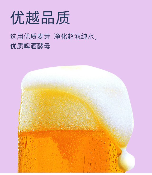 國寶熊貓百香果果味精釀啤酒