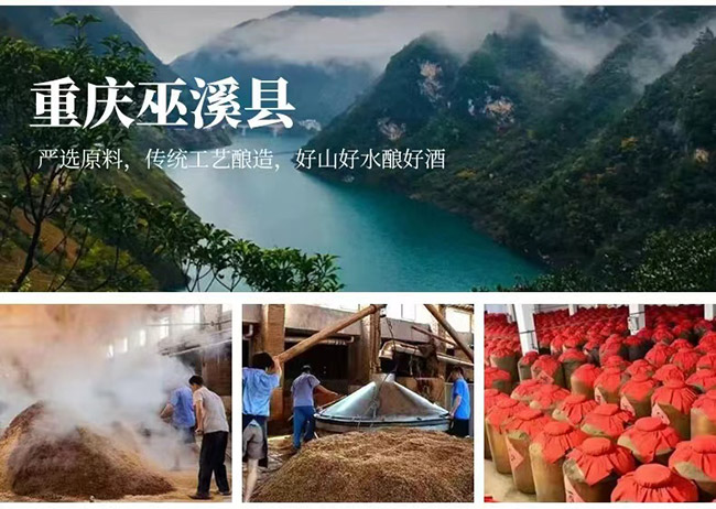 玫錯青梅酒【13° 330ml】