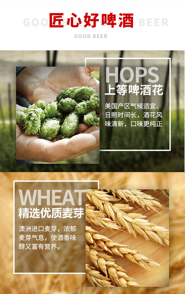 蒙迪貓原漿純釀精釀啤酒【12° 1L】