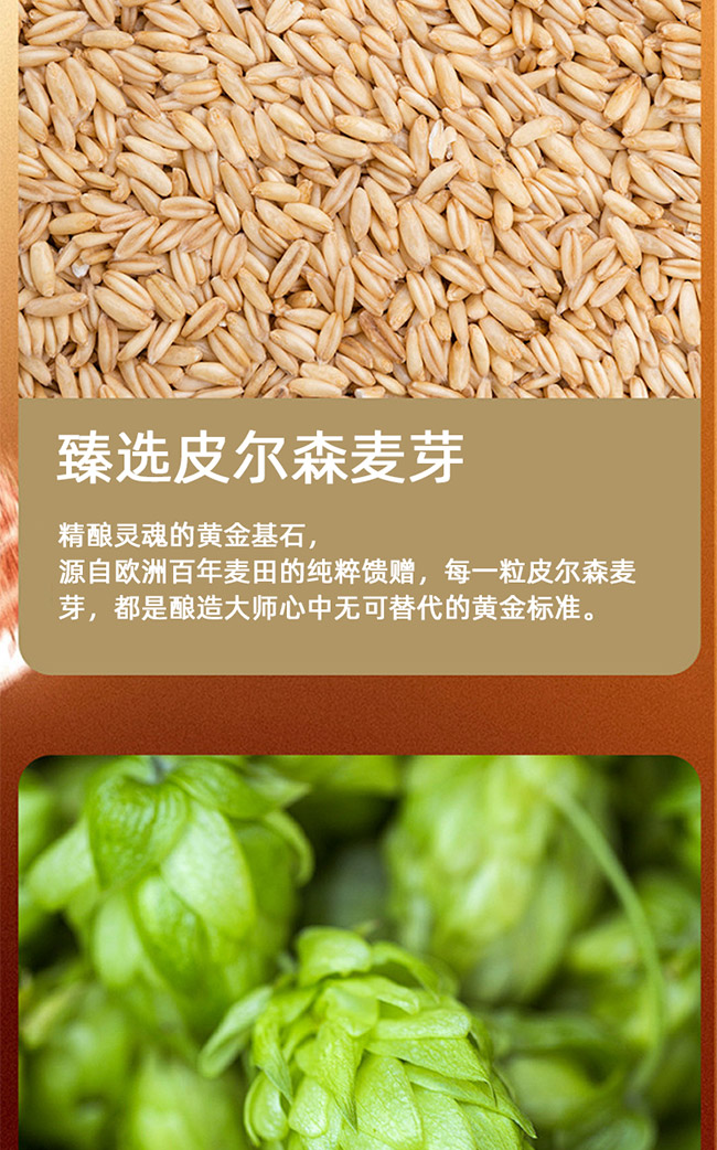 蒙迪貓·修道院啤酒【23.9° 750ml】